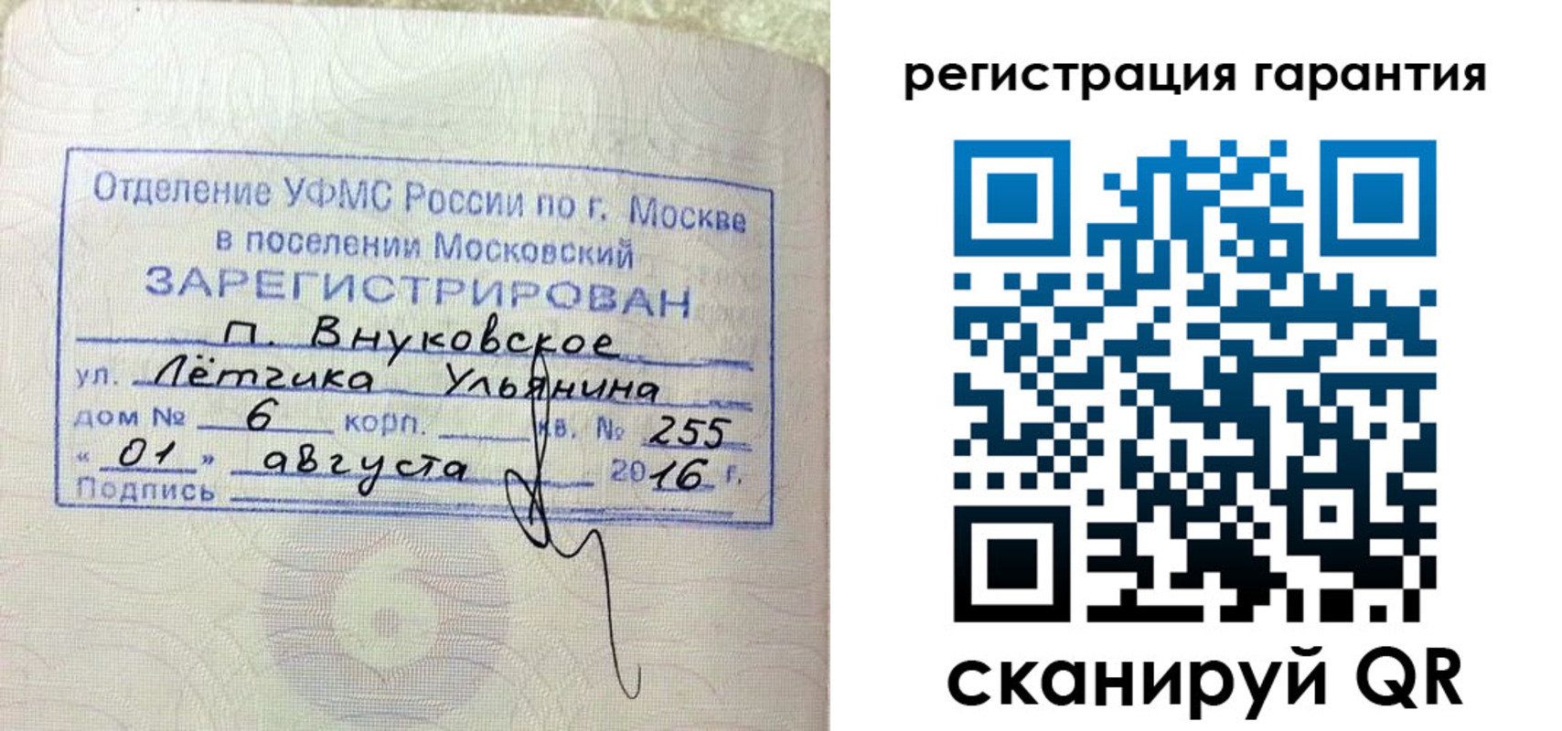 прописка штамп в Александровске